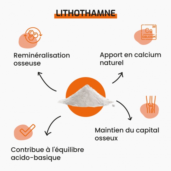 Lithothamne