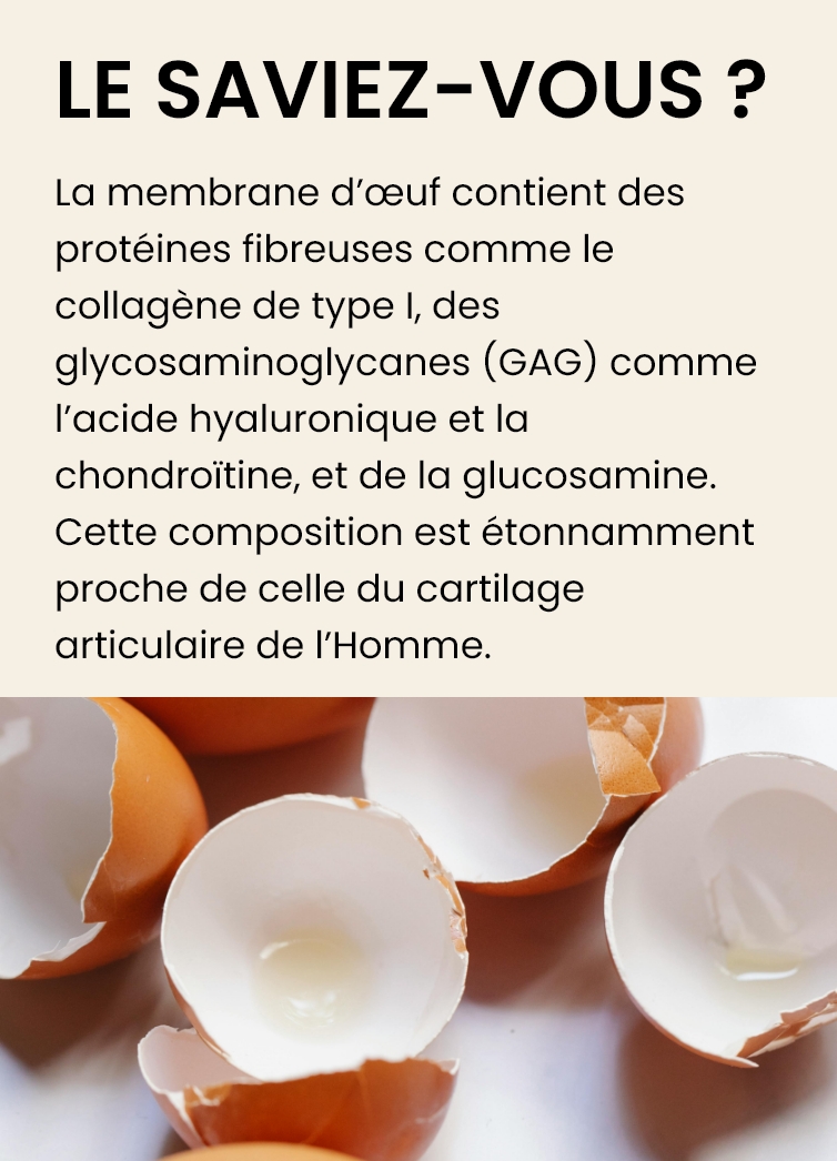 Collagene & Vitamine C