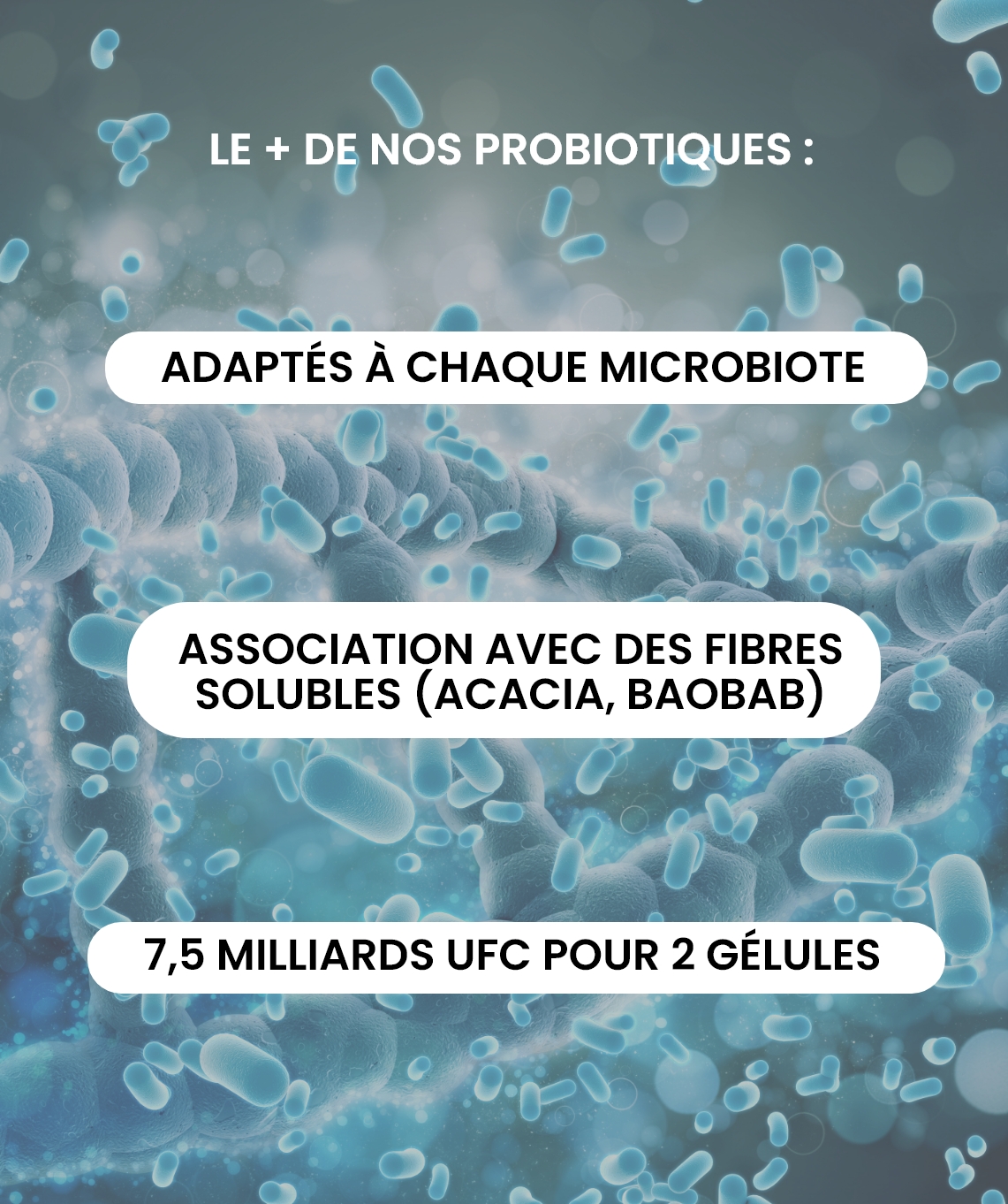 Probiotiques